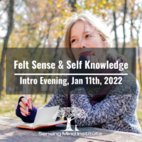 Free intro evening: On using felt sense to develop self-knowledge, Jan 11th, 2022